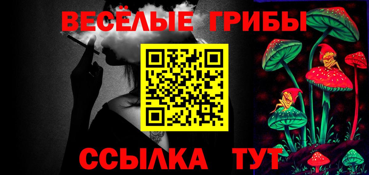 Черногорск  Псилоцибиновые грибы Psilocybine cubensis  купить наркотики сайты  Вход с VPN 